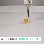 Cockroach Killing Gel