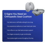 Orthopedic Seat Cushion