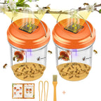 Solar-Powered Wasp Trap